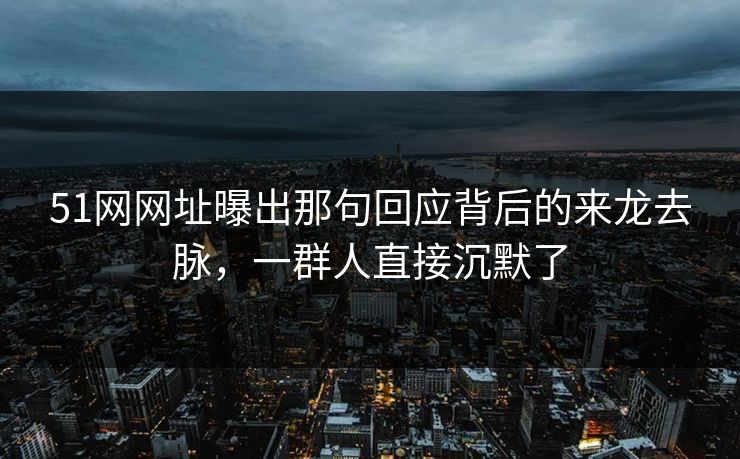 51网网址曝出那句回应背后的来龙去脉，一群人直接沉默了