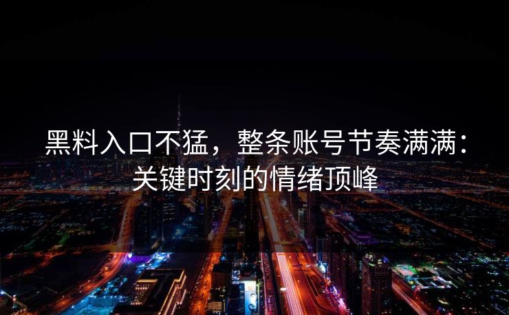黑料入口不猛,整条账号节奏满满:关键时刻的情绪顶峰