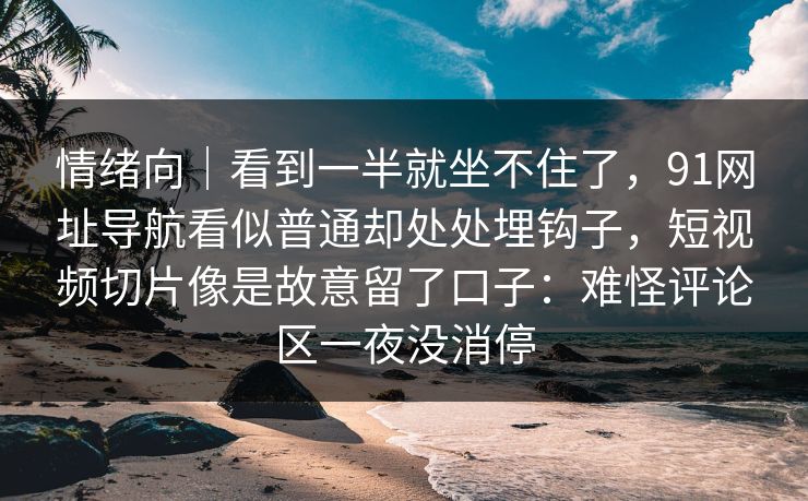 情绪向｜看到一半就坐不住了，91网址导航看似普通却处处埋钩子，短视频切片像是故意留了口子：难怪评论区一夜没消停