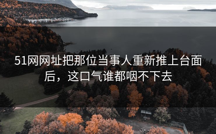 51网网址把那位当事人重新推上台面后，这口气谁都咽不下去